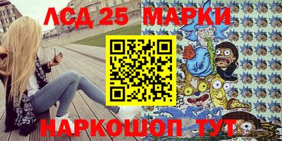 индика Гусев