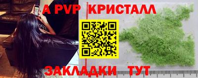 индика Гусев