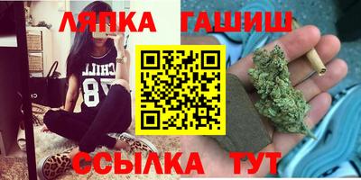 индика Гусев