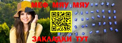 индика Гусев